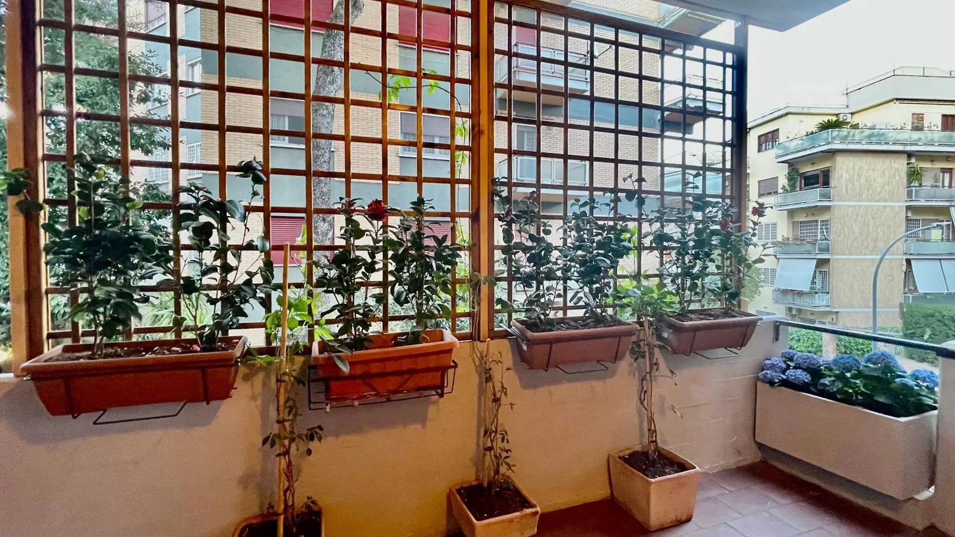 La Casa Delle Camelie Apartment Rome