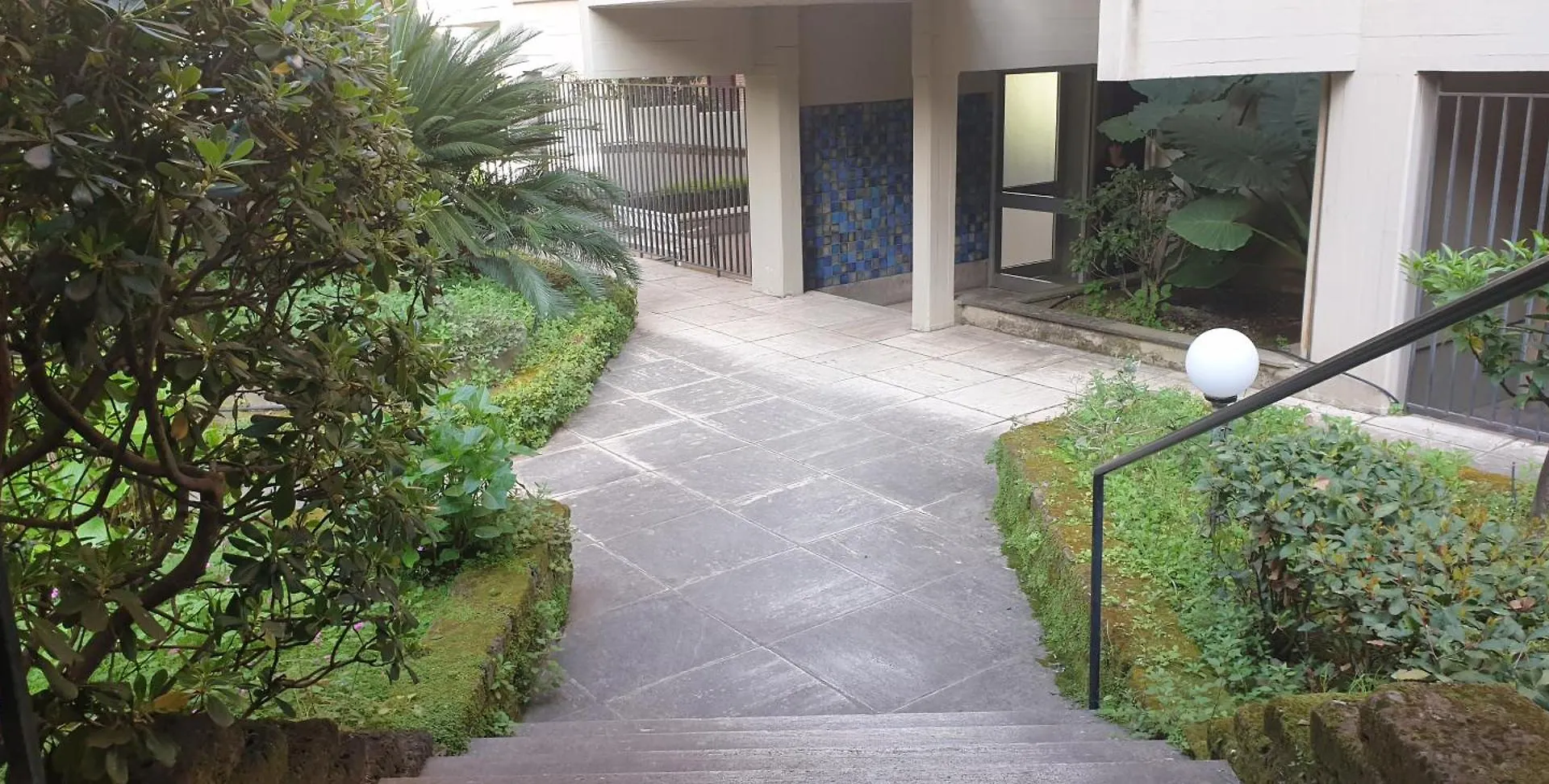 La Casa Delle Camelie Apartment Rome